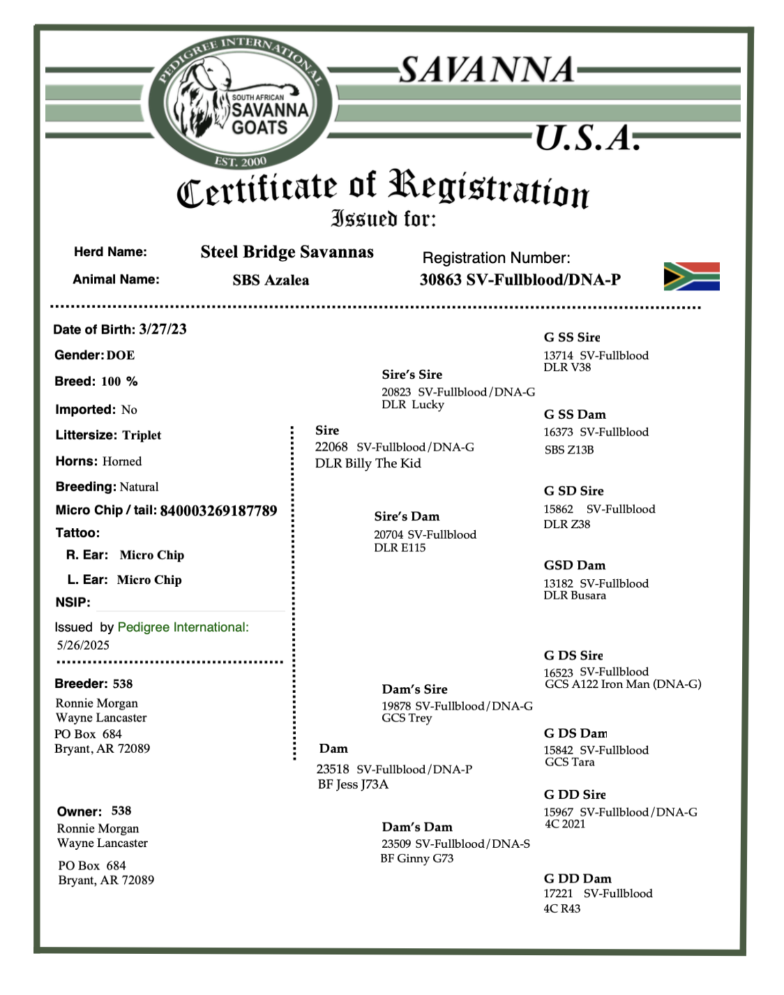 Screenshot 2025-07-07 at 8.52.33 AM